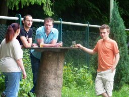 Grillen