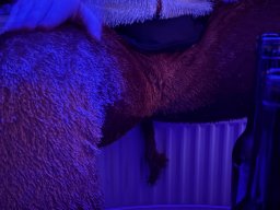 img_6573